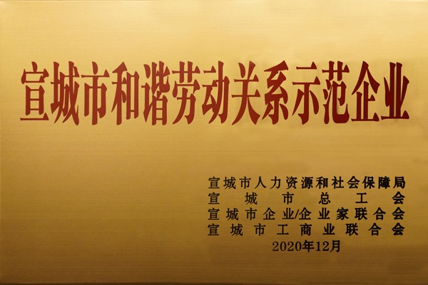 宣城市和谐劳动关系示范企业