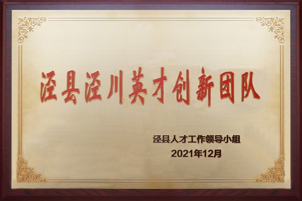 泾县泾川英才创新团队